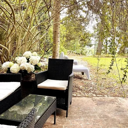 Aurea With Private Pool And Park Marcelli