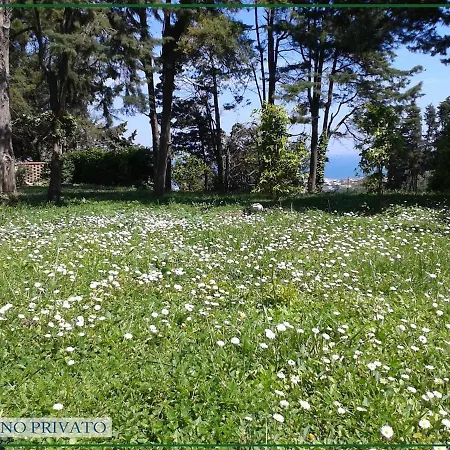 Aurea With Private Pool And Park *