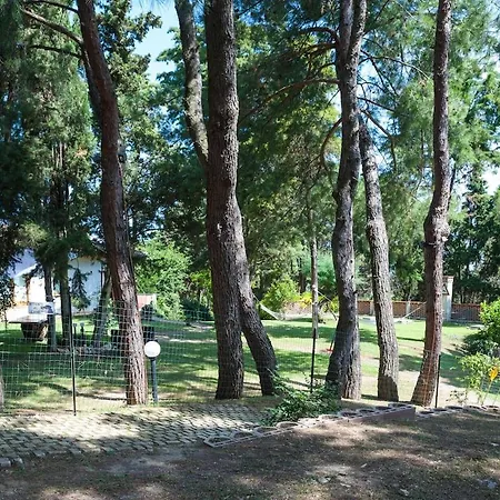 Villa Aurea With Private Pool And Park *